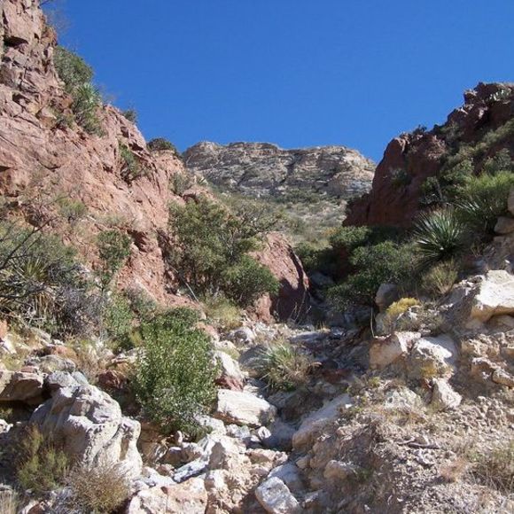 Meet your Posher, Myron lisa - Picture 1 of 1